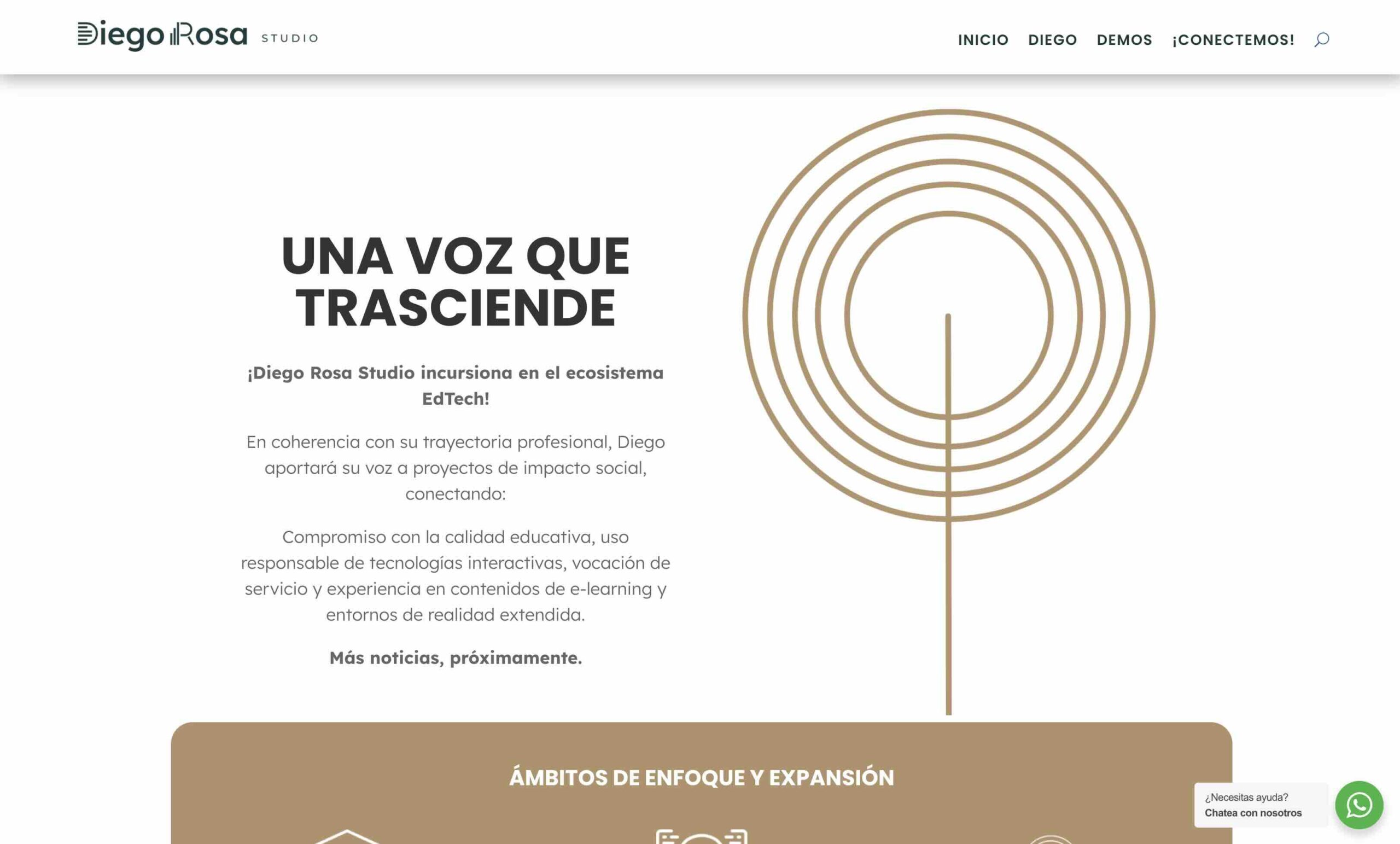 Captura del proyecto Diego Rosa Studio